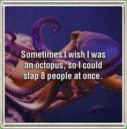 Obrázek MRGA1383-SlapitySlap