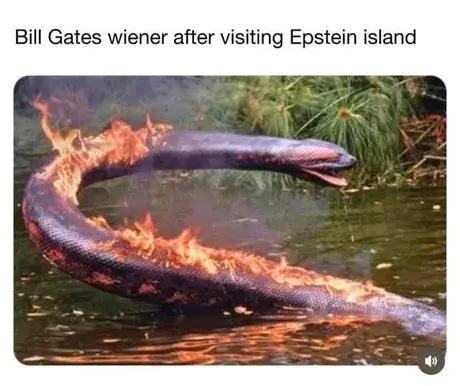 Obrázek MRGA1437-itBurns