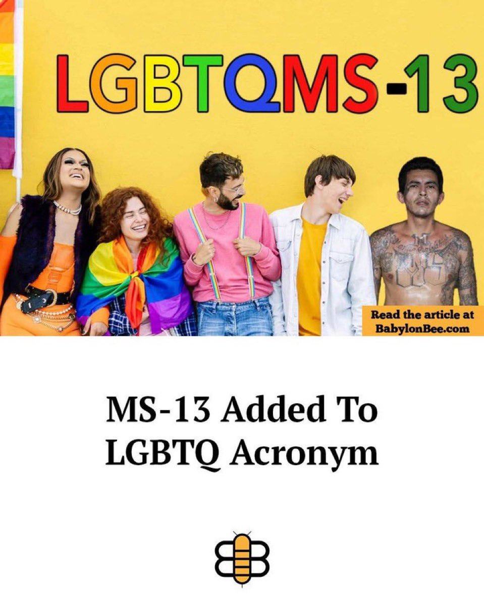 Obrázek MS13