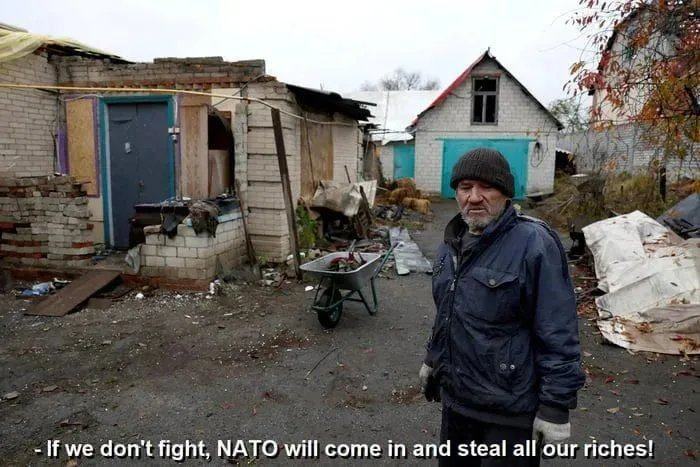 Obrázek NATO steal our riches