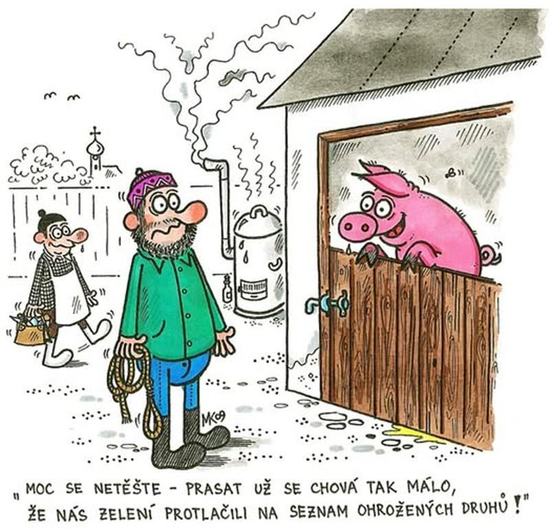 Obrázek Progresivisti chrani zviratka