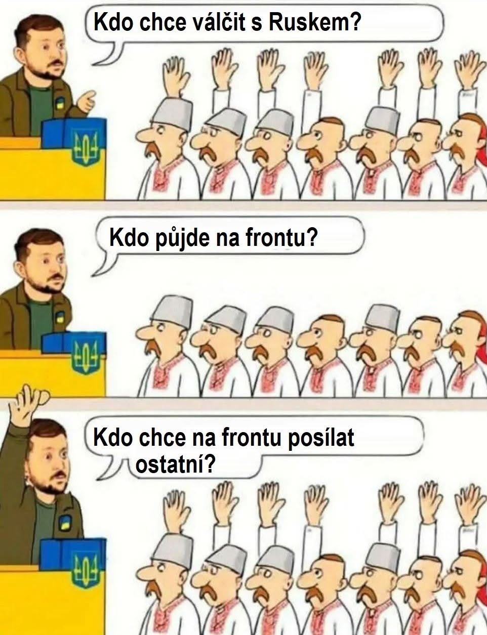 Obrázek V EU hlasuji kdo bude bojovat za UA