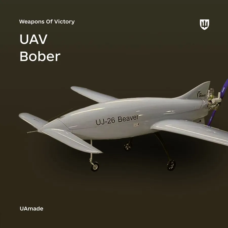 Obrázek bober