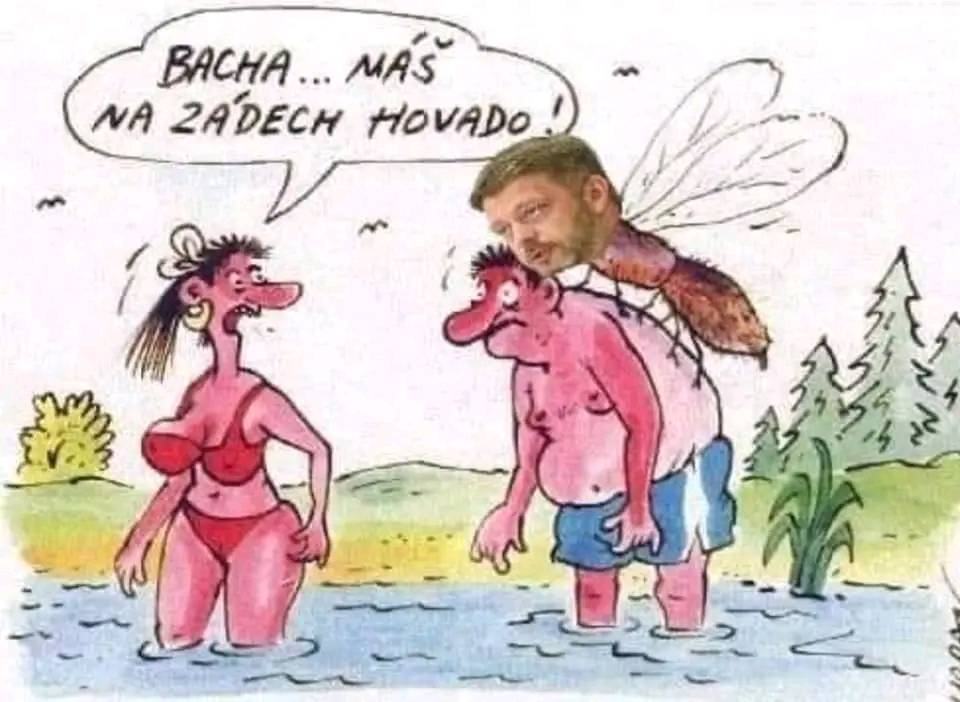 Obrázek hovado