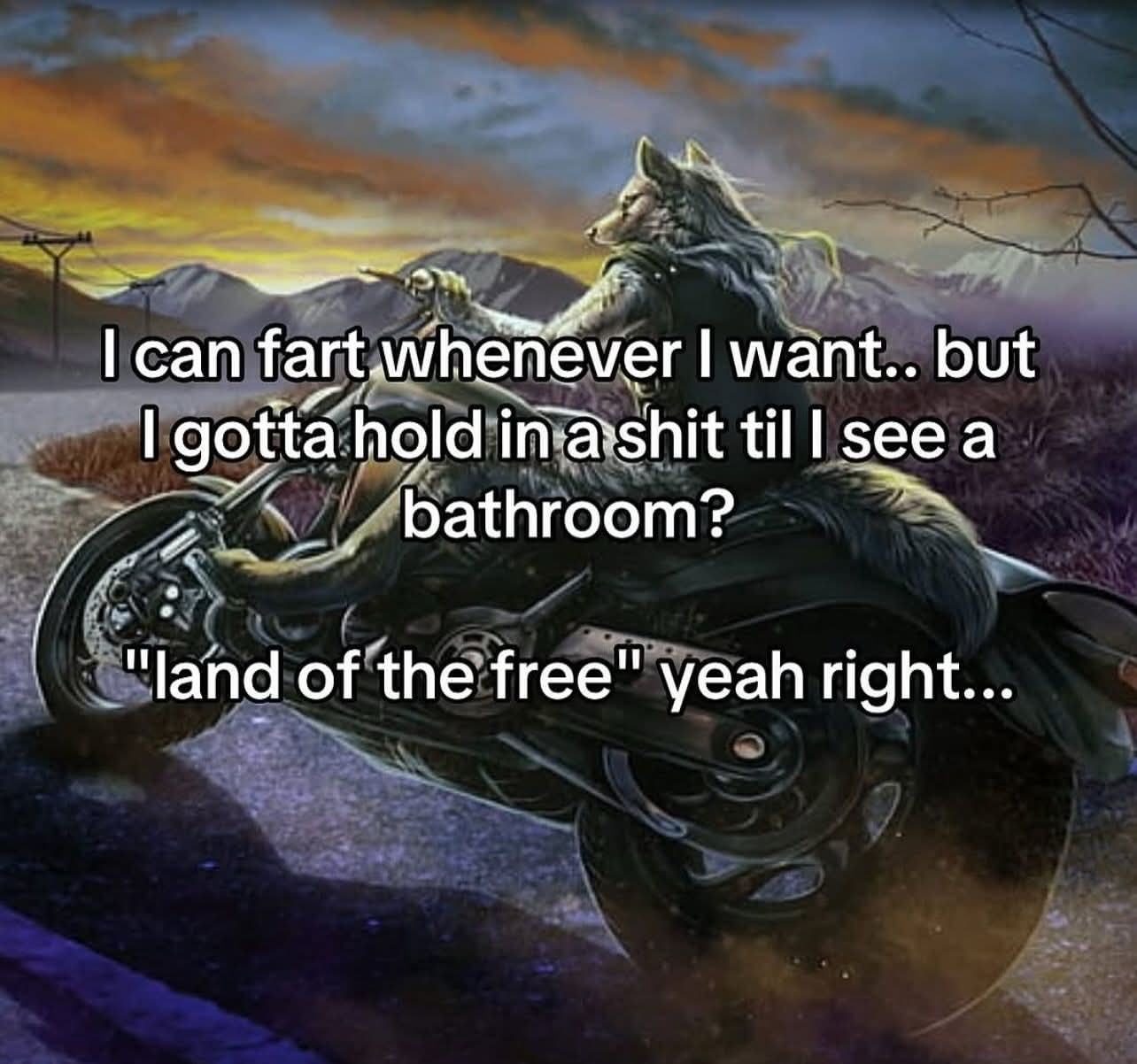 Obrázek land of the free my ass
