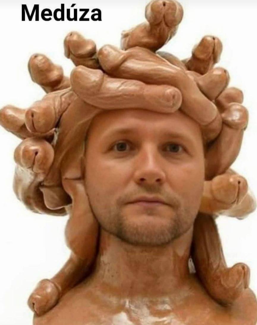 Obrázek meduza