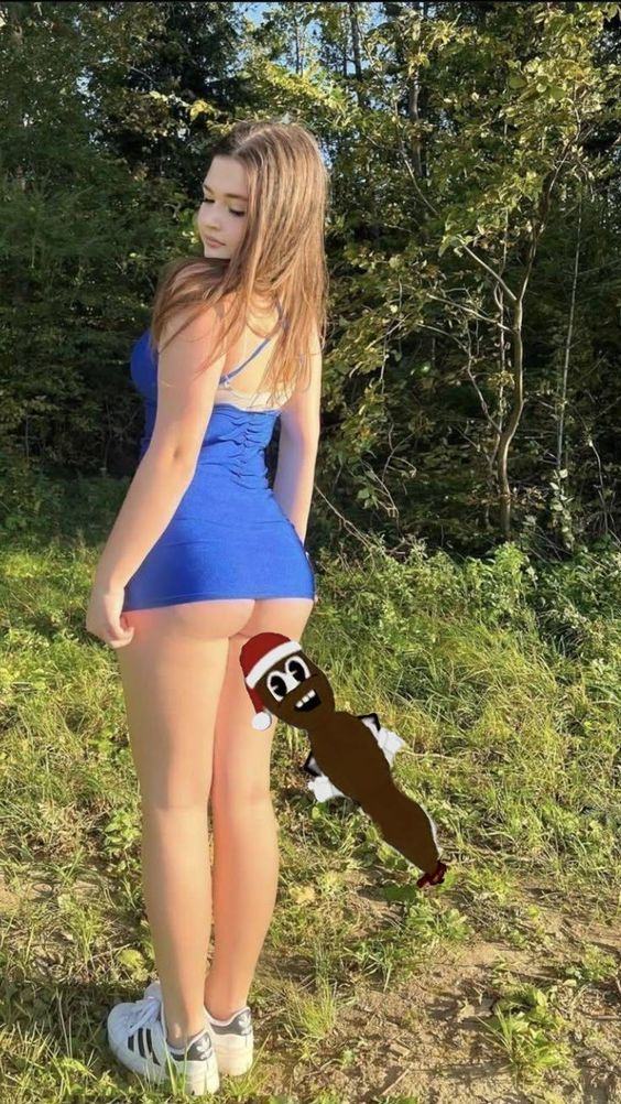 Obrázek mrhank