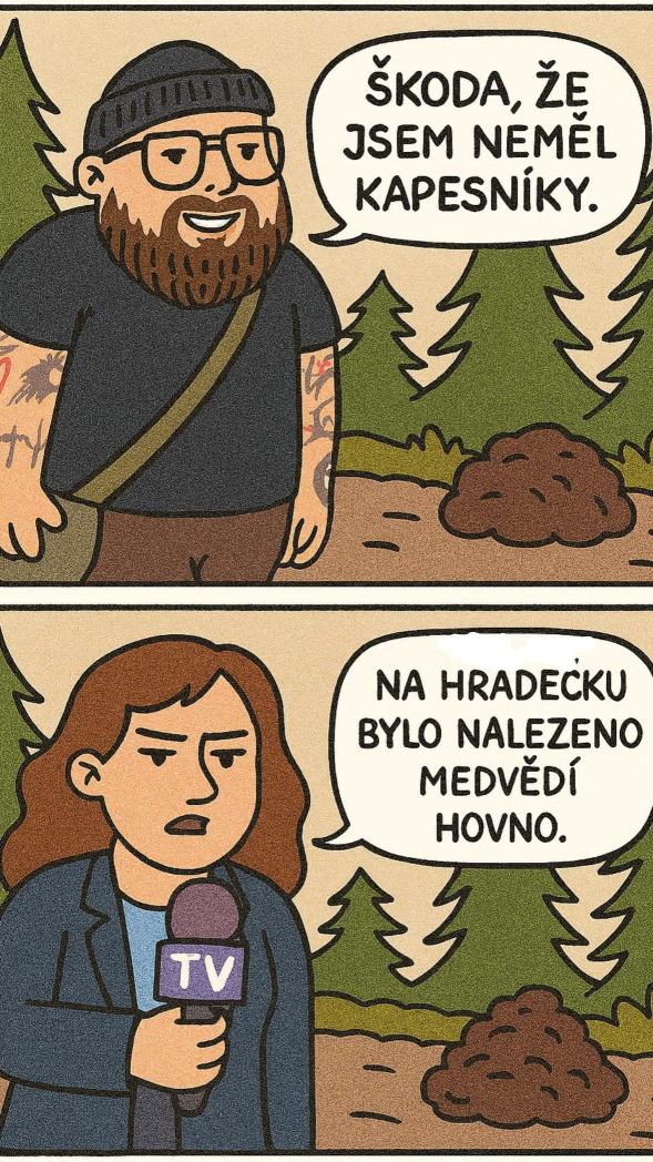 Obrázek pepan v lesu 