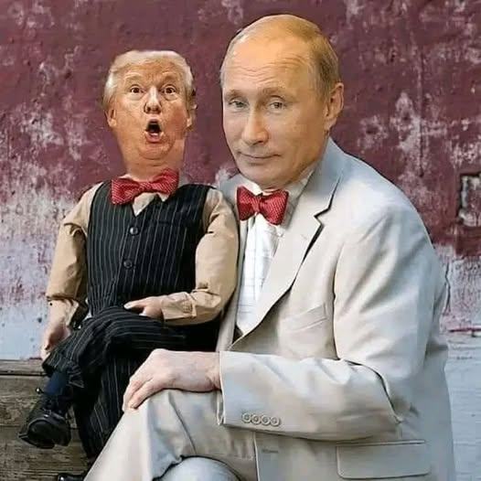 Obrázek puppet leader