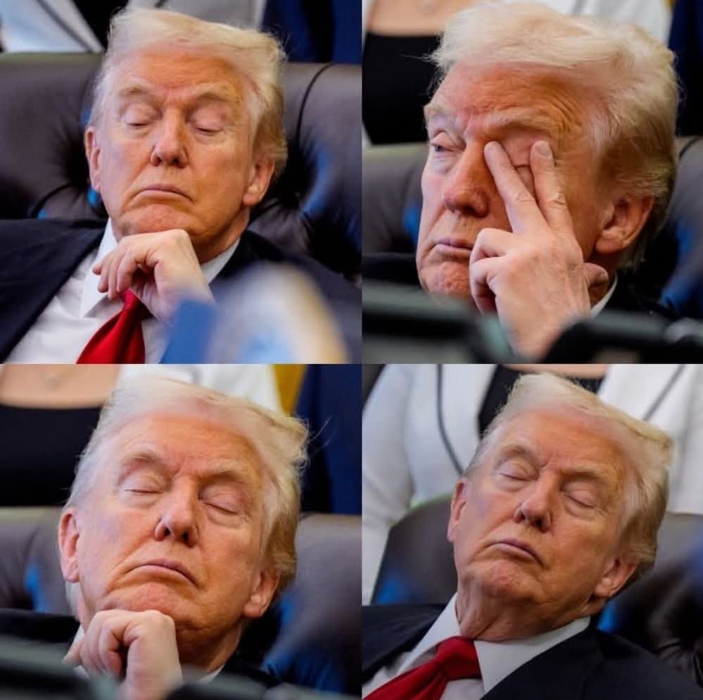 Obrázek sleepy donnie