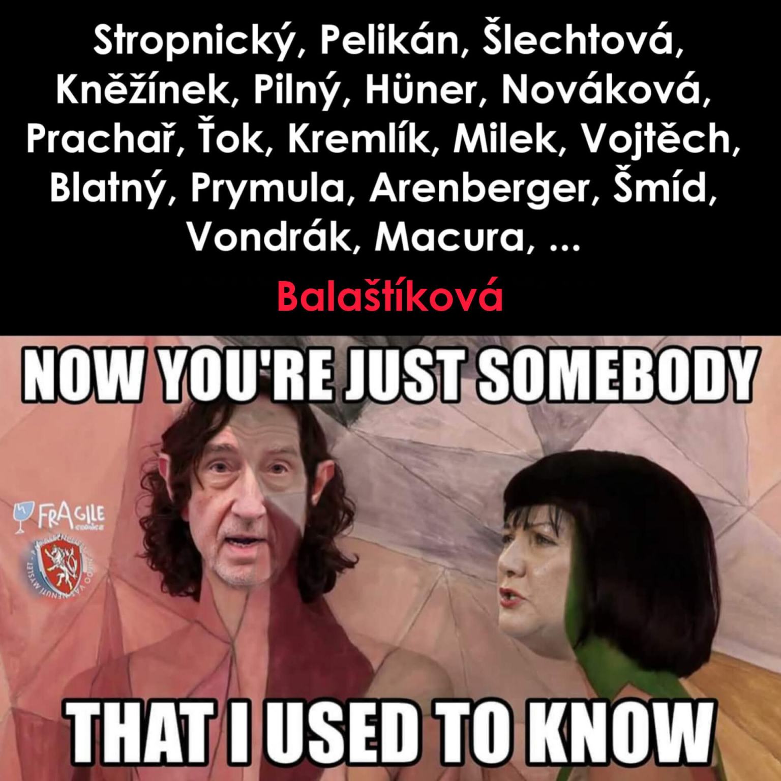 Obrázek somebody who I used to know