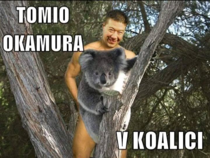 Obrázek tomio v koalici