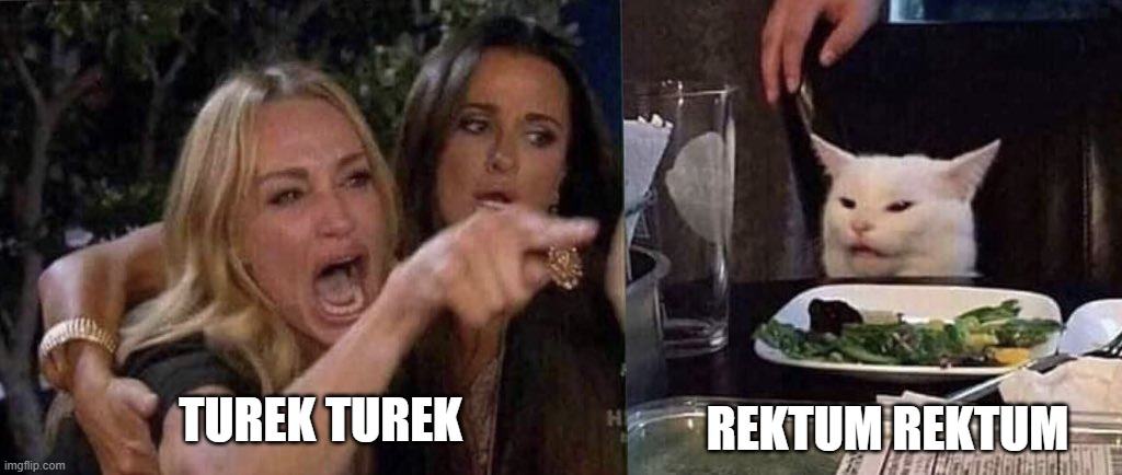Obrázek turek