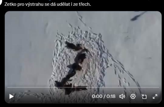 Obrázek uzitecna&nbsp;rada