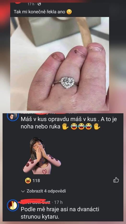Obrázek v kus