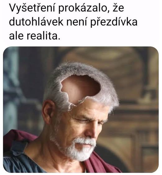 Obrázek z pavka dutohlavek