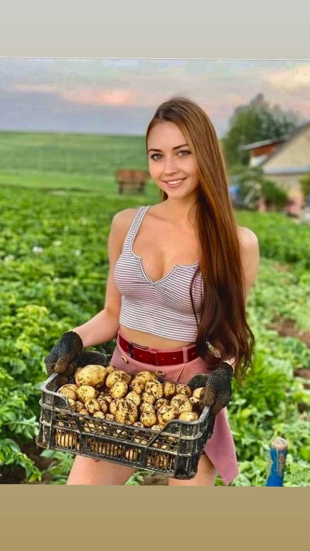 Obrázek zahradkarka