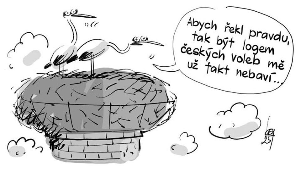 Obrázek Capaci priletaji pred volbami