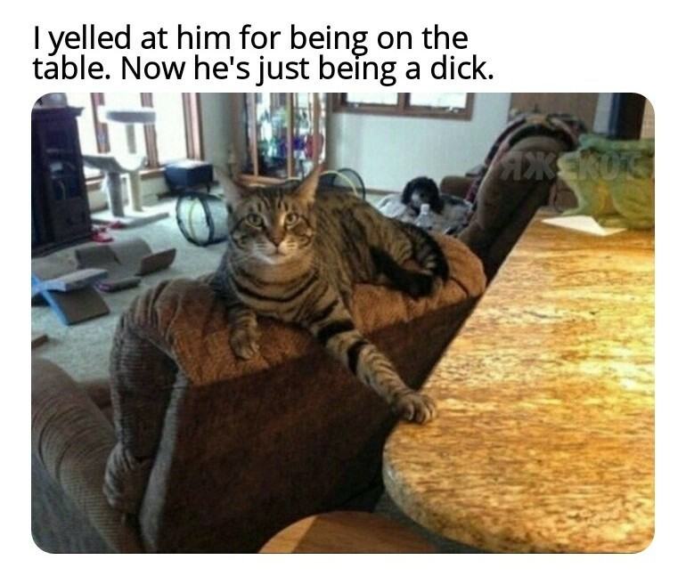 Obrázek He&nbsp;is&nbsp;testing&nbsp;you