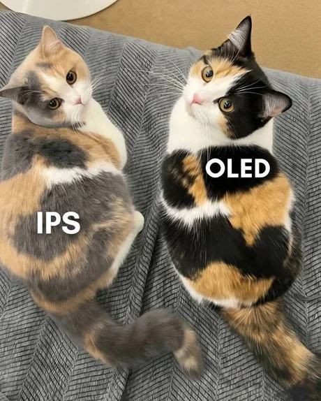 Obrázek IPS&nbsp;vs&nbsp;OLED