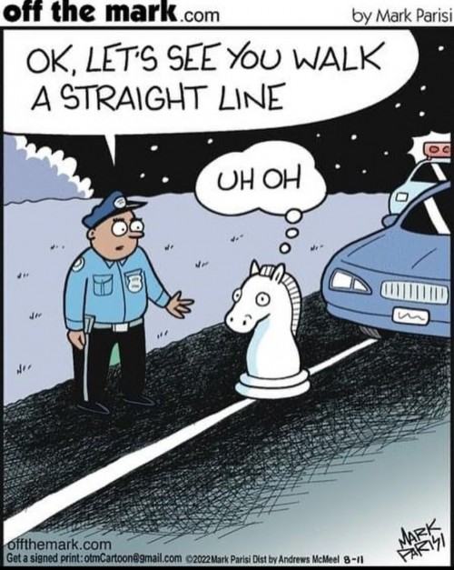 Obrázek Knight-fail