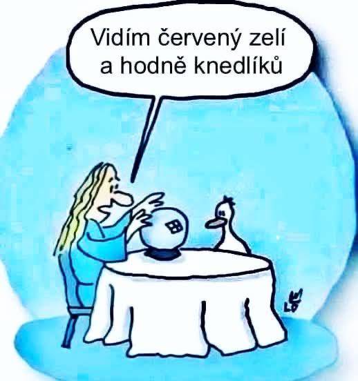 Obrázek MRGA0956-Svatomartinsky