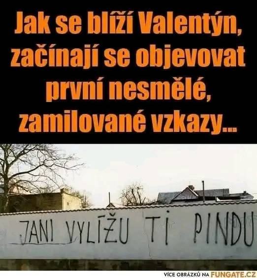 Obrázek MRGA1303-laska