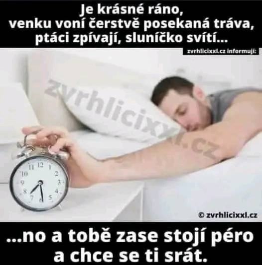 Obrázek MRGA1312-EveryFriggingDay