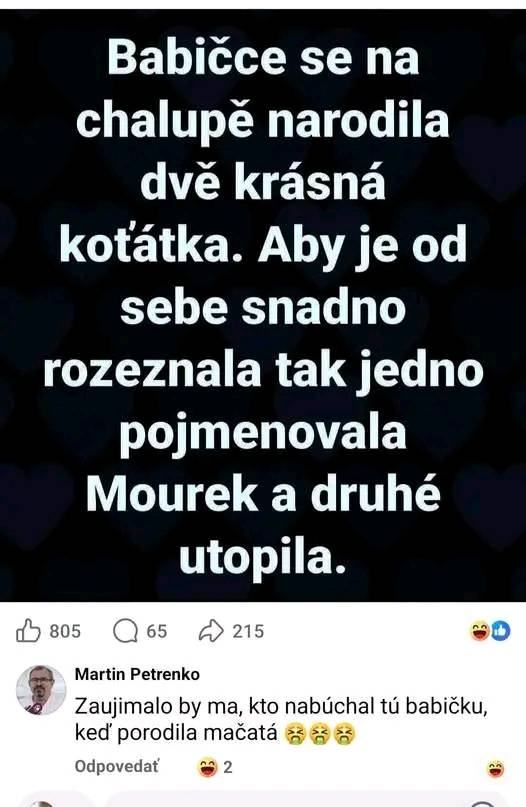 Obrázek MRGA1347-babicka