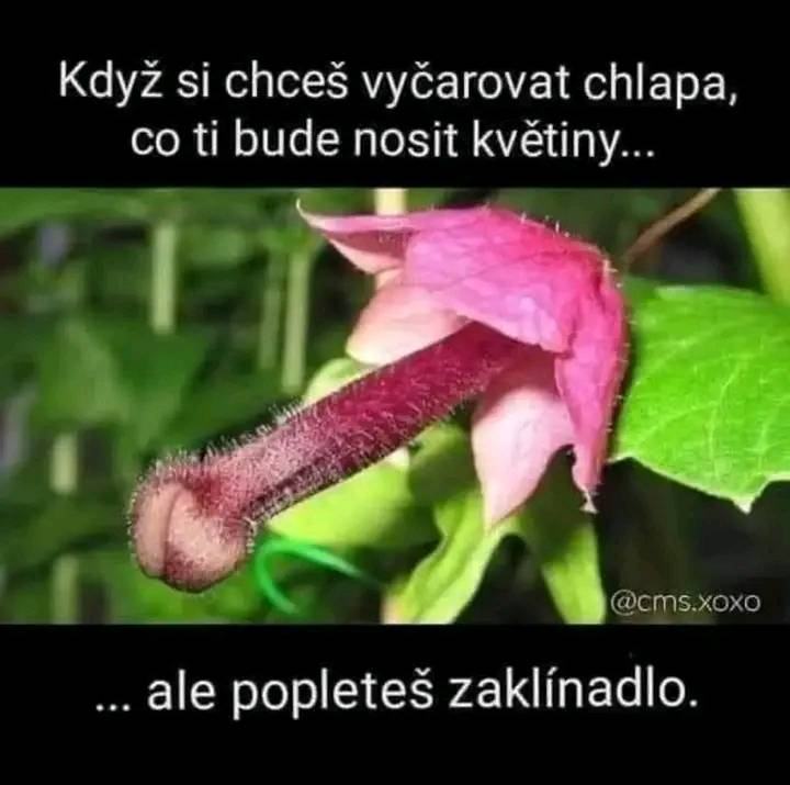 Obrázek MRGA1400-vedle