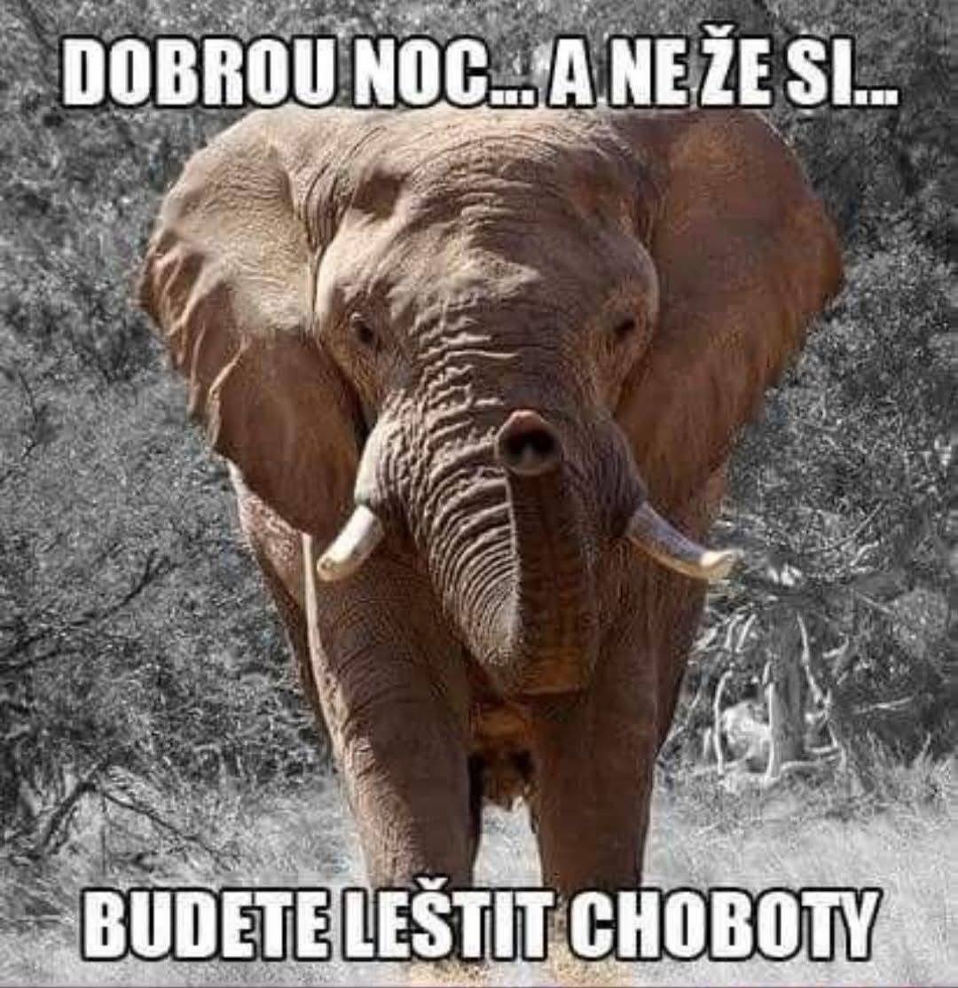 Obrázek MRGA1402-NoChobots