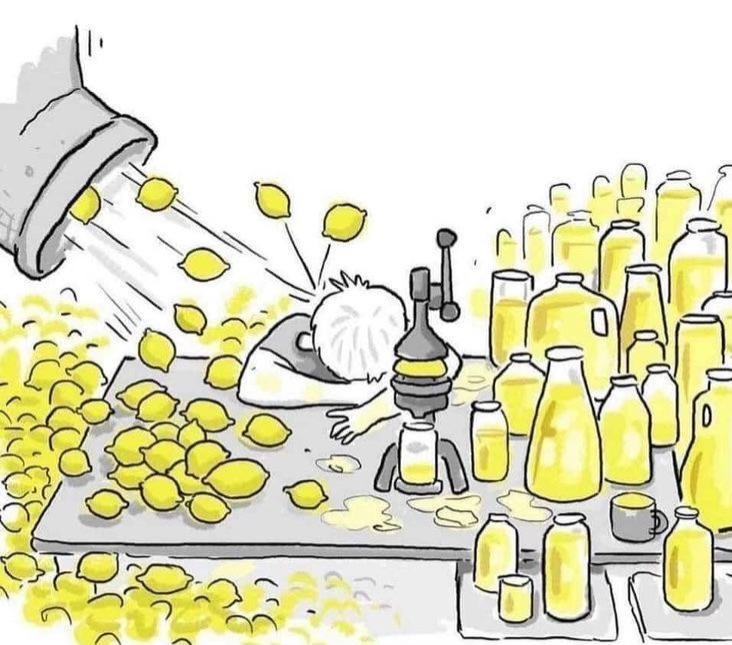 Obrázek MRGA1424-lemons