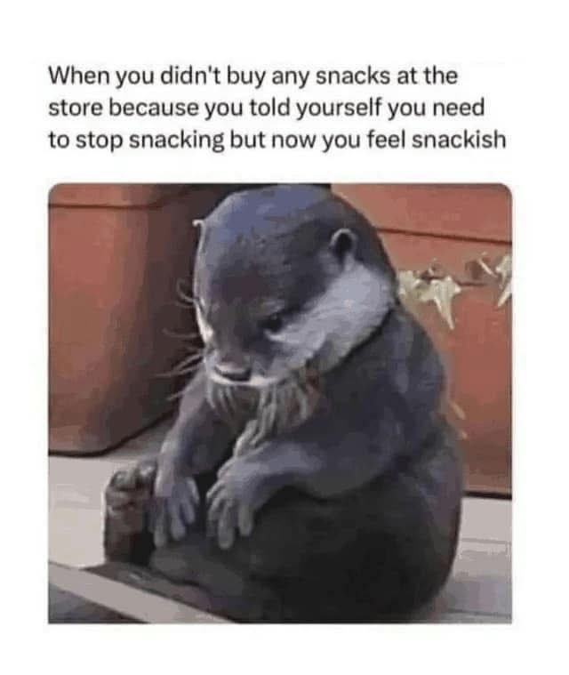 Obrázek MRGA1446-snacks