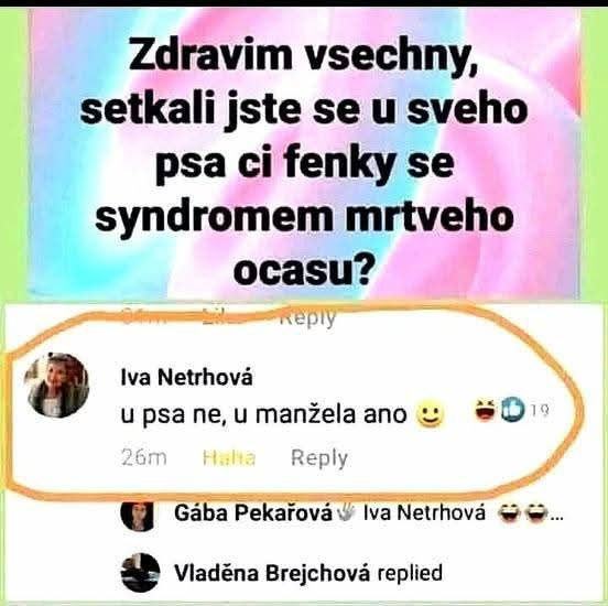 Obrázek Mrtvej ocas
