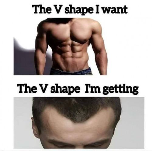 Obrázek N-V-Us