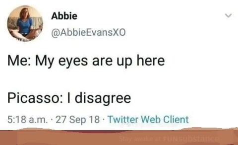 Obrázek Picasso POV