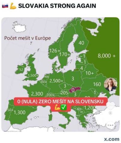 Obrázek Slovakia strong again