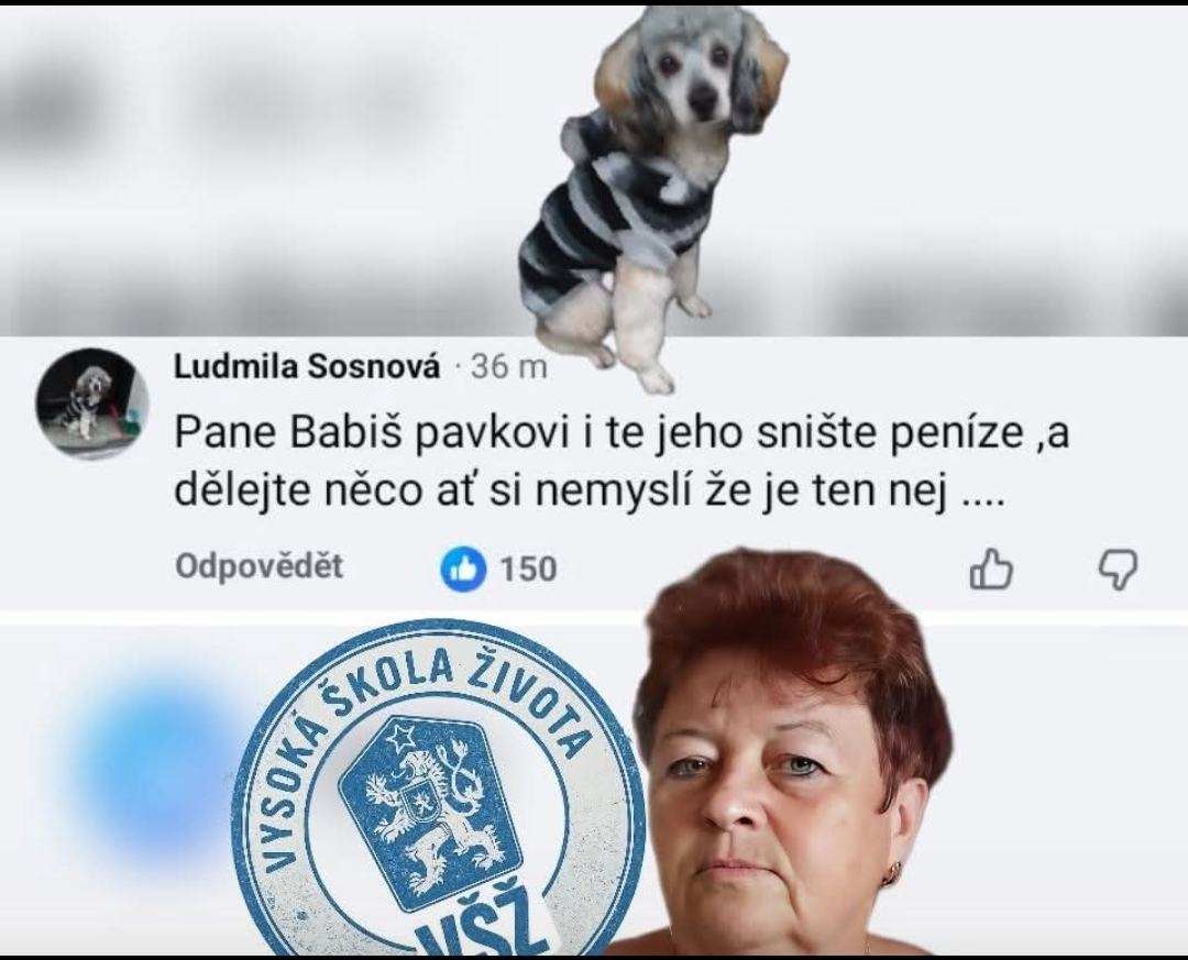Obrázek Tahle sem pise jako Is OK Be White