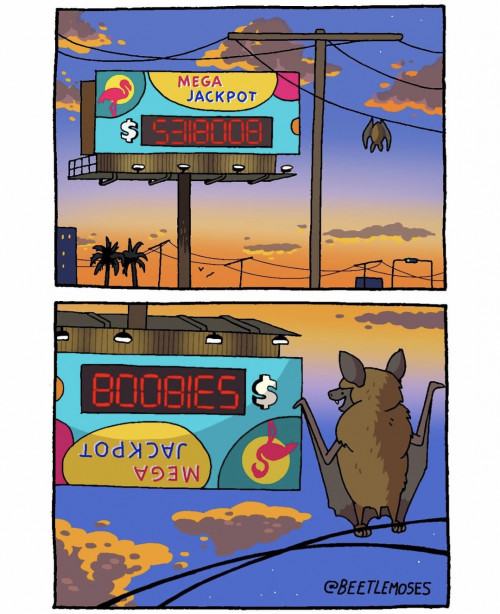 Obrázek Wussup Marsupial