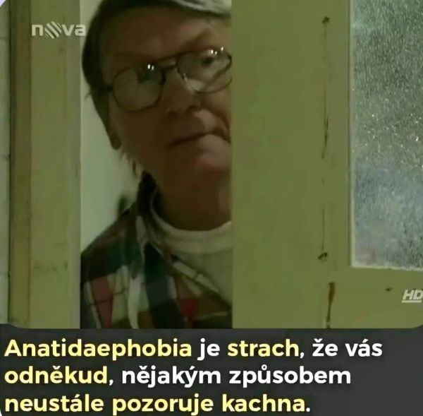 Obrázek anatidaephobia