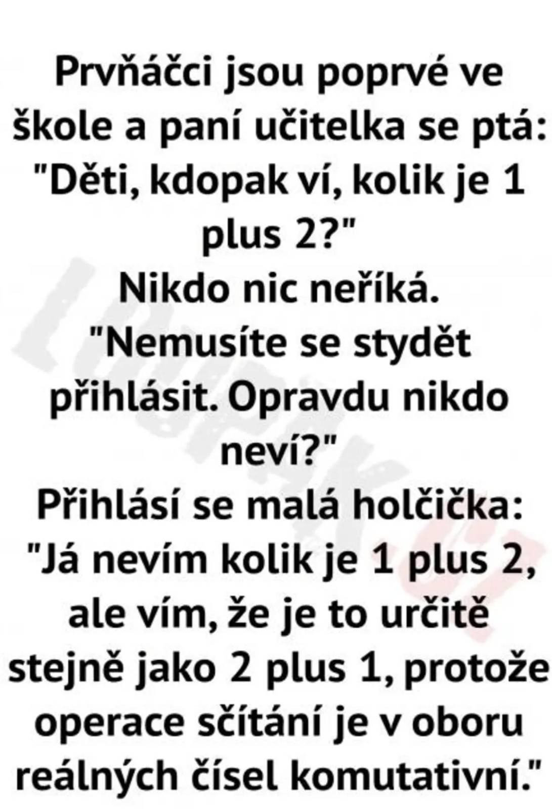 Obrázek asiSlecnaRoumenova