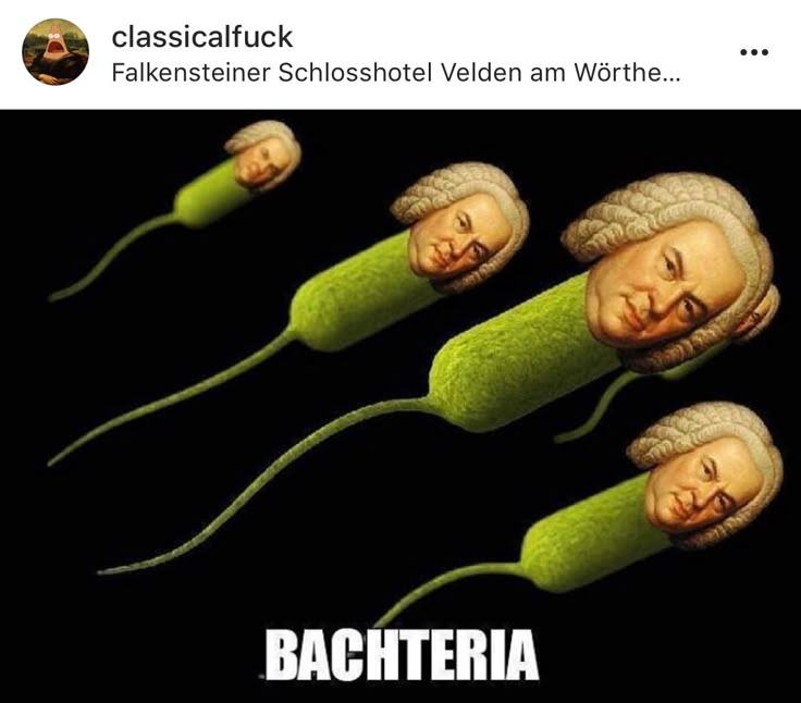 Obrázek bachteria