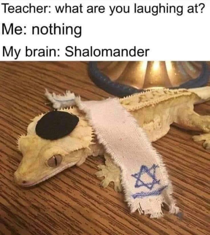 Obrázek brainomander