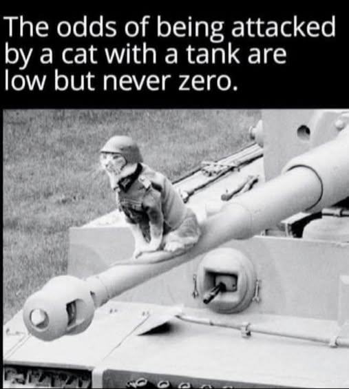 Obrázek cat with tank