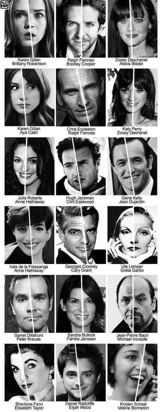 Obrázek celebrities lookalike