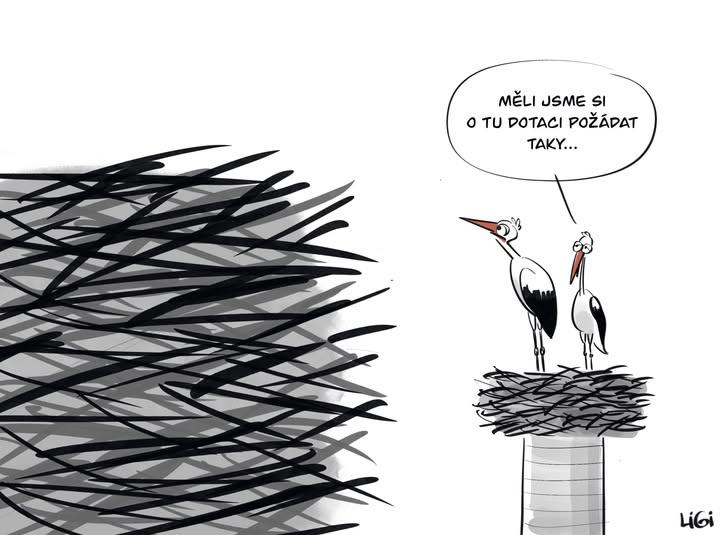 Obrázek dotace taky
