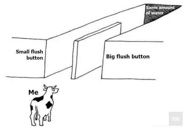 Obrázek flushing1