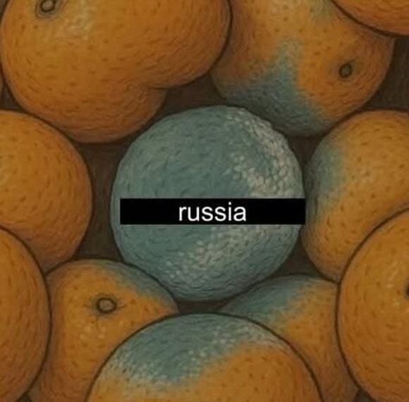 Obrázek fruits comparison