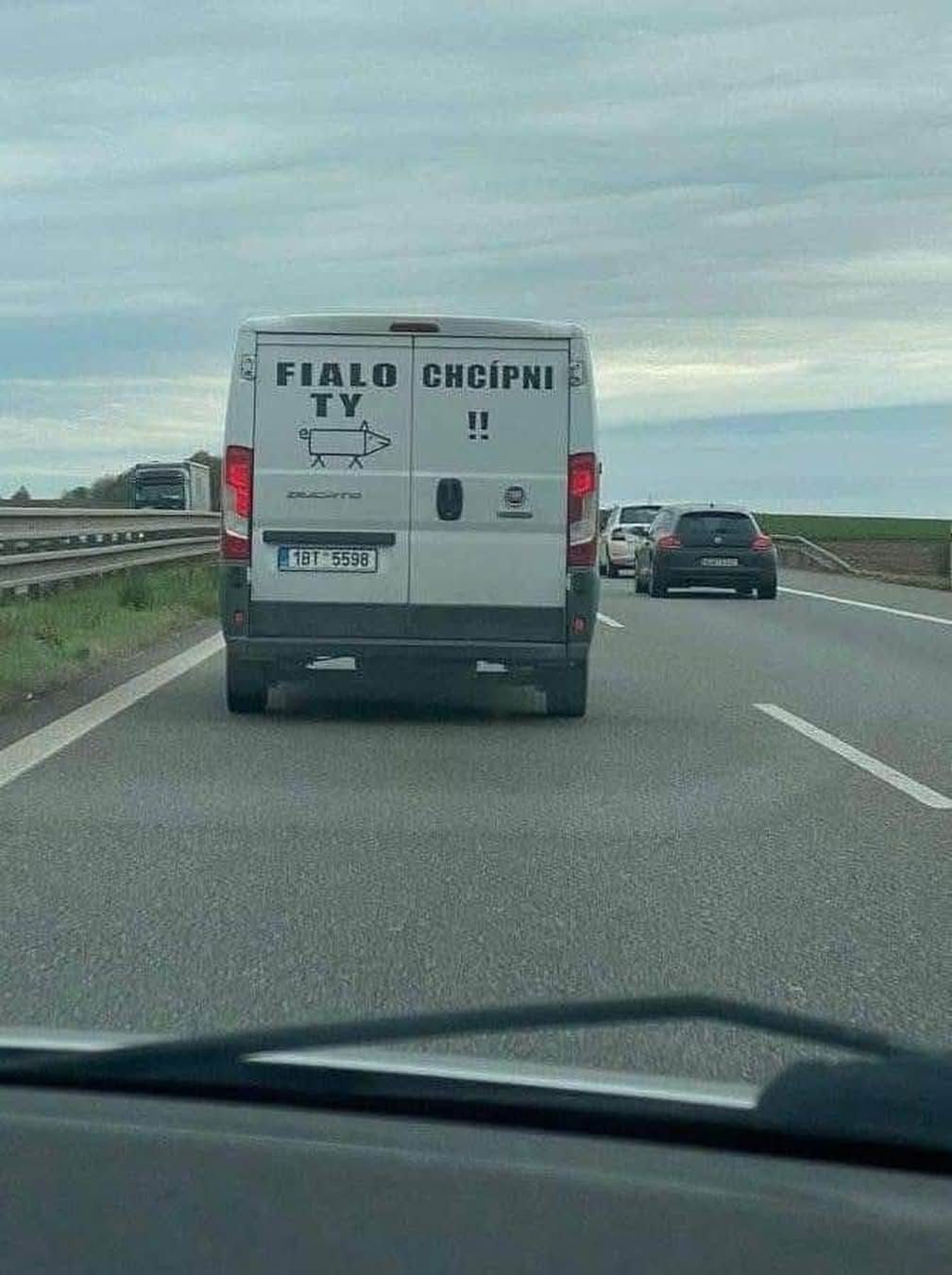 Obrázek fyjalo ty prase