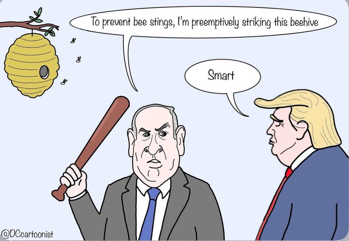 Obrázek habibi&nbsp;logic